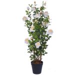 Selyemvirág Rózsabokor mûanyag kaspóban 167 cm