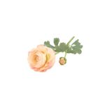 Selyemvirág Boglárka 47 cm