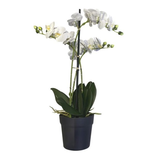 Selyemvirág orchidea cserepes fehér 67 cm