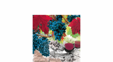 AMB.13308760 Wine papírszalvéta 33x33cm