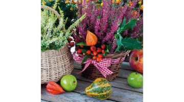 AMB.13310470 Heather Baskets papírszalvéta 33x33cm