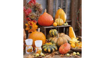 AMB.13309605 Pumpkins Picture papírszalvéta 33x33cm