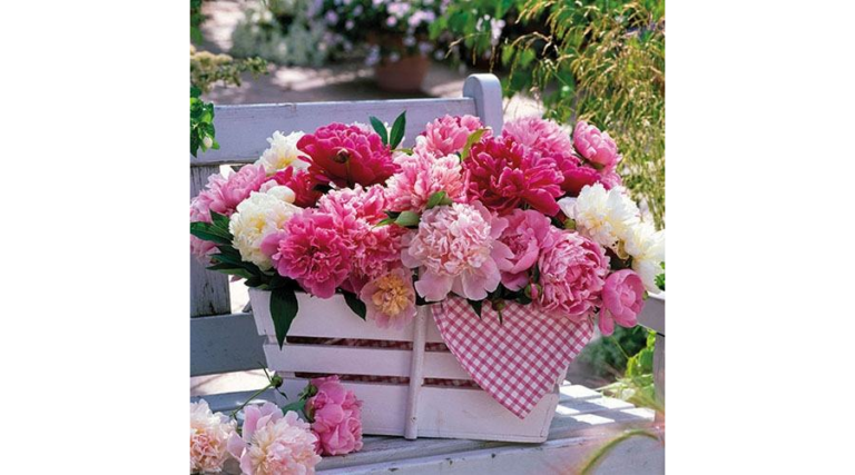 AMB.13311630 Peonies In Basket papírszalvéta 33x33cm