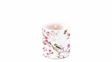 AMB.19211215 Bird & Blossom átvilágítós gyertya 8x7