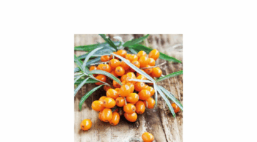 AMB.12513090 Hippohae papírszalvéta 25x25cm