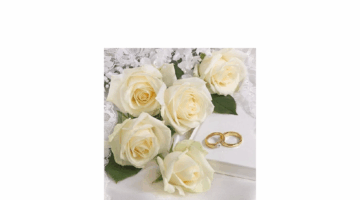 AMB.12514260 White Wedding papírszalvéta 25x25cm