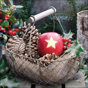 AMB.33317825 Star apple papírszalvéta 33x33cm