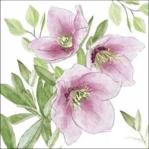 AMB.33318015 Classic helleborus papírszalvéta 33x33cm