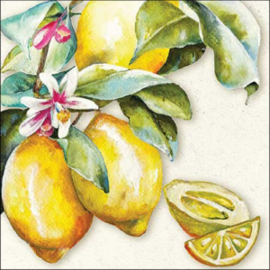 AMB.13318335 Sunny lemon papírszalvéta 33x33cm