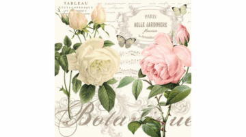 R2S.414JARB Papírszalvéta 33x33cm