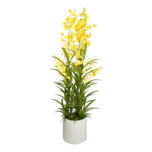 Selyemvirág Orchidea