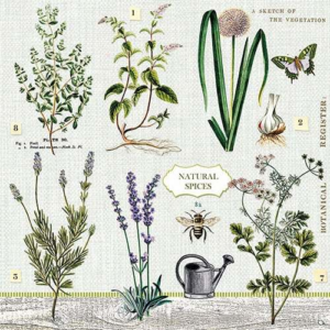 AMB.13311395 Herbs Garden papírszalvéta 33x33cm