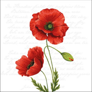 AMB.13316120 Proud Poppy papírszalvéta 33x33cm