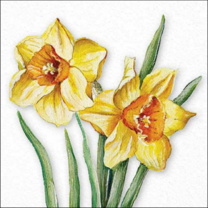 AMB.13318490 Flowering daffodils papírszalvéta 33x33cm