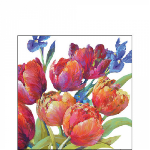 AMB.12519310 Tulips of joy papírszalvéta 25x25cm