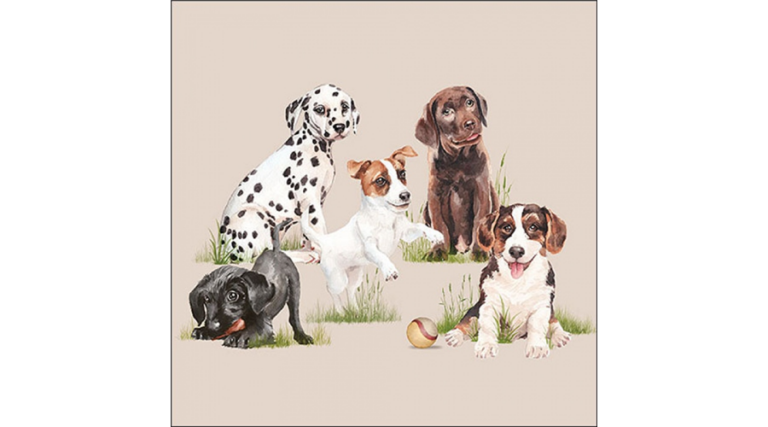 AMB.13319470 Playing puppies papírszalvéta 33x33cm
