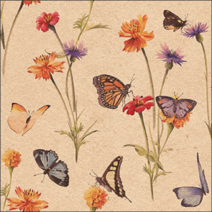 AMB.13319336 Butterfly garden nature