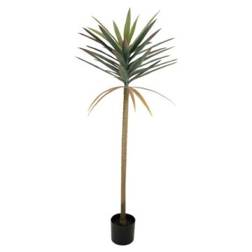 Selyemvirág Dracéna cserepes 125 cm