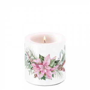 Átvilágítós gyertya Pink poinsettia