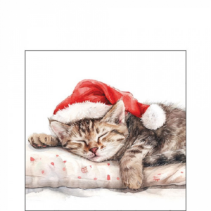 Papírszalvéta Dreaming about X-Mas