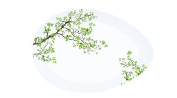 R2S.1087NTRA Porcelán kínálótál tojás forma