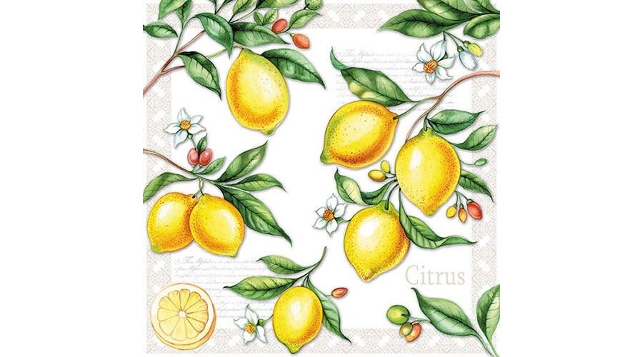 AMB.13311520 Citrus papírszalvéta 33x33cm