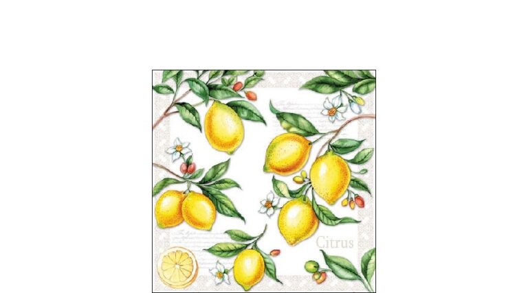 AMB.12511520 Citrus papírszalvéta 25x25cm