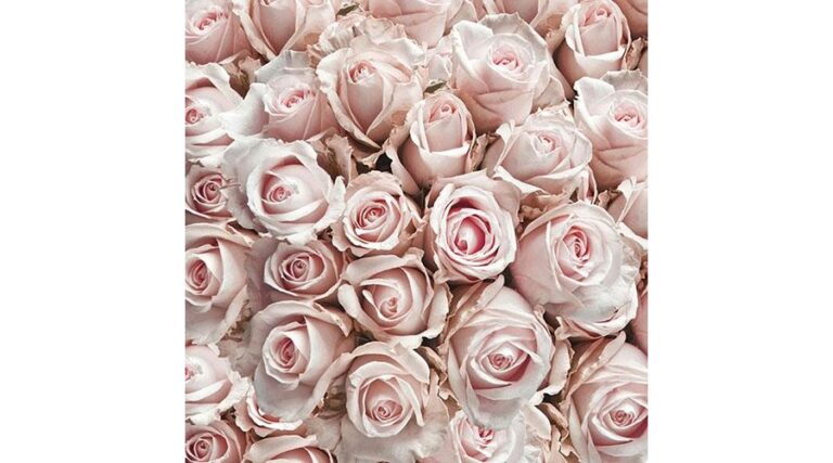 AMB.13311450 Pastel Roses papírszalvéta 33x33cm