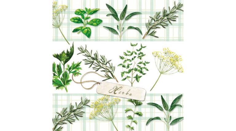 AMB.13309330 Herbs papírszalvéta 33x33cm
