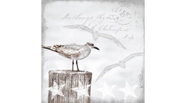 AMB.13309115 Seagulls papírszalvéta 33x33cm