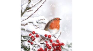 AMB.33305105 Robin in Snow papírszalvéta 33x33cm