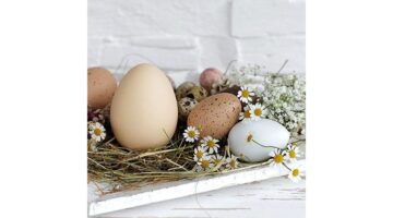AMB.23314290 Pastel Eggs papírszalvéta 33x33cm