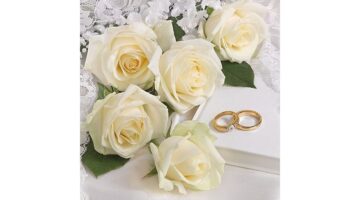 AMB.13314260 White Wedding papírszalvéta 33x33cm