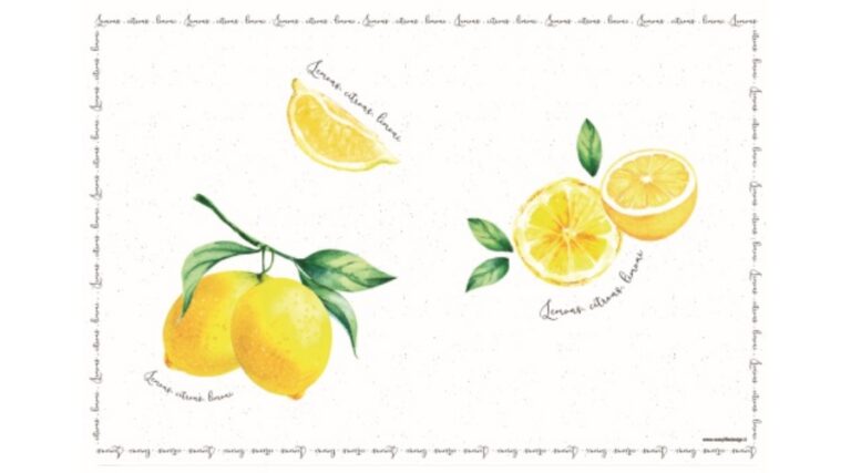 R2S.550AMAL Műanyag tányéralátét 45x30cm