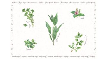 R2S.550HERU Műanyag tányéralátét 45x30cm