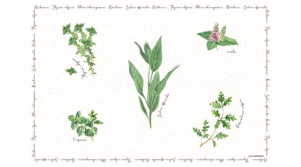 R2S.550HERU Műanyag tányéralátét 45x30cm