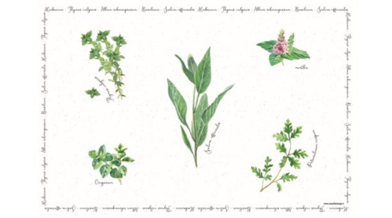 R2S.550HERU Műanyag tányéralátét 45x30cm