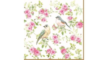 R2S.414SPRI Papírszalvéta 33x33cm