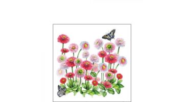 AMB.12514950 Bellis papírszalvéta 25x25cm