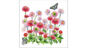 AMB.13314950 Bellis papírszalvéta 33x33cm