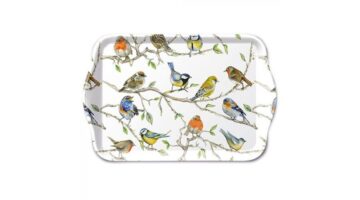 AMB.13714975 Birds Meeting műanyag kistálca 13x21cm