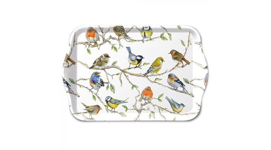 AMB.13714975 Birds Meeting műanyag kistálca 13x21cm