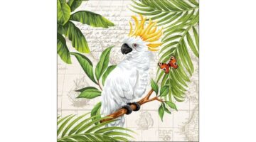 AMB.13315070 Cockatoo papírszalvéta 33x33cm