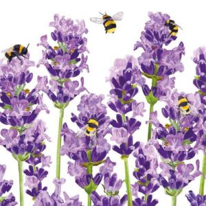 PPD.C1333956 Bees & Lavender papírszalvéta 33x33cm