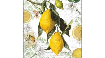AMB.13314990 Lemon papírszalvéta 33x33cm