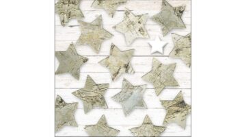 AMB.33315680 Birch Stars papírszalvéta 33x33cm