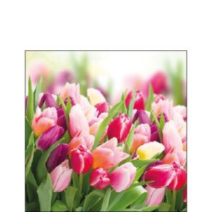 AMB.12512730 Glorious Tulips papírszalvéta 25x25cm