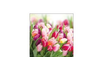AMB.12512730 Glorious Tulips papírszalvéta 25x25cm