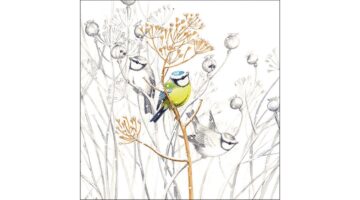 AMB.13316705 Sweet Little Bird papírszalvéta 33x33cm