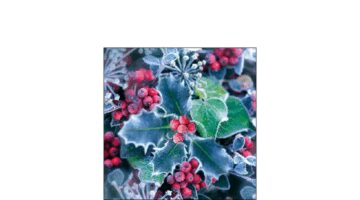 AMB.32516965 Frozen Holly papírszalvéta 25x25cm